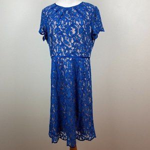 Adrianna Papell Dress 14 Blue Lace A-Line Lined Scalloped Hem Zip Knee Length